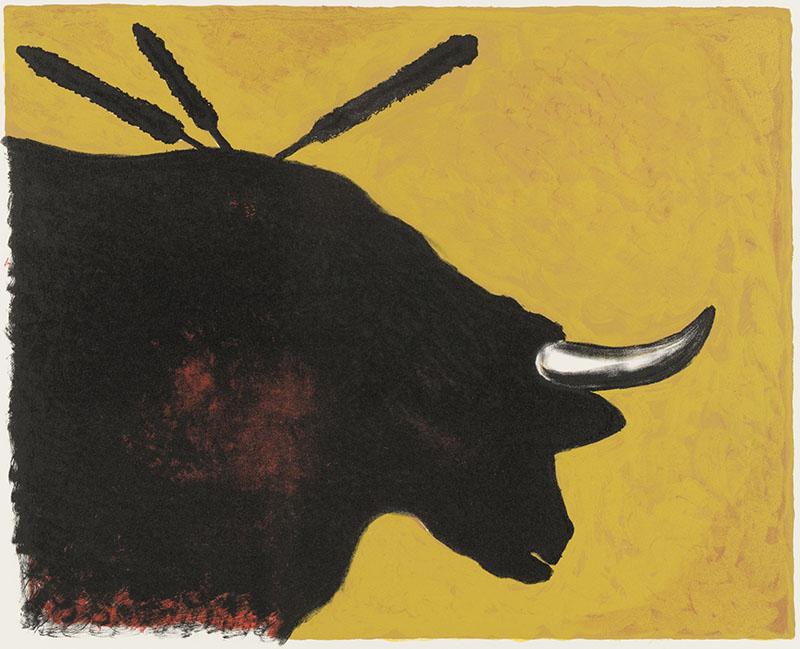 Sam Coronado. Untitled, 2009