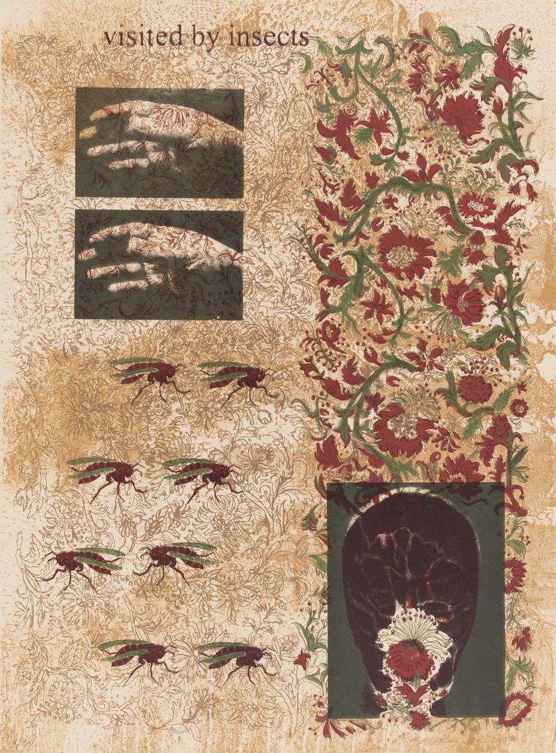 Leticia Huerta. Visited by Insects, 2008