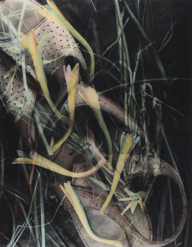 Kathy Vargas. They Were Big, Mom’s Shoe, 1998