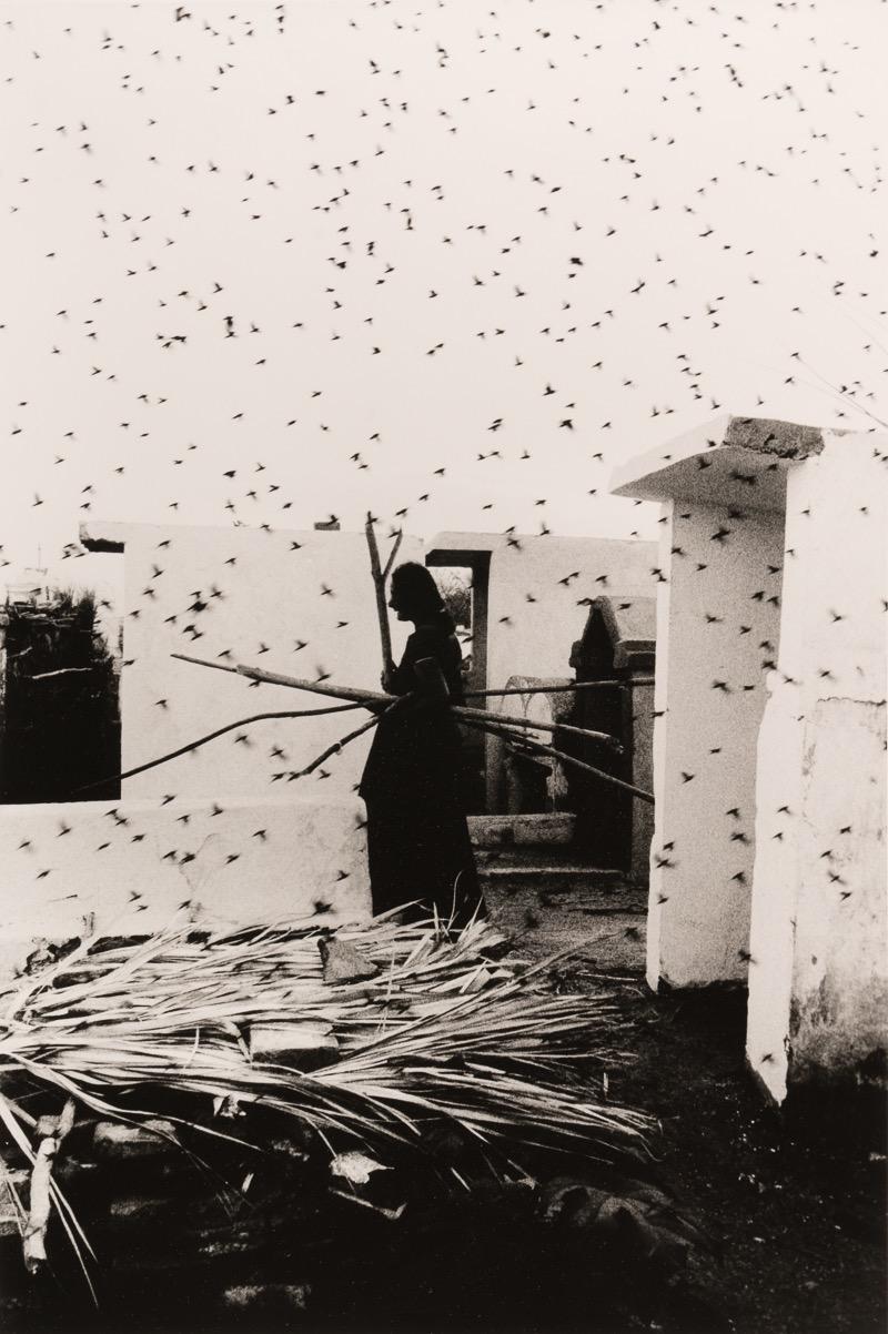 Graciela Iturbide. Cementerio, 1988