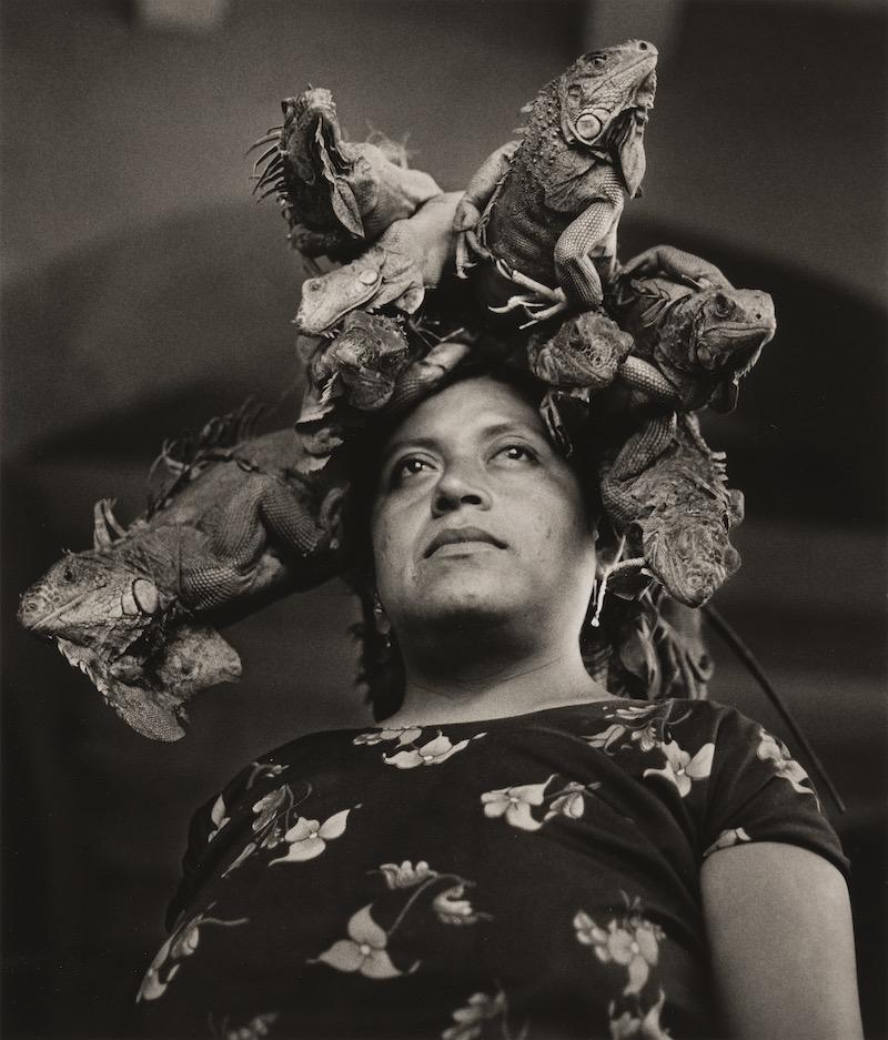 Graciela Iturbide. Nuestra Señora de las Iguanas, 1998