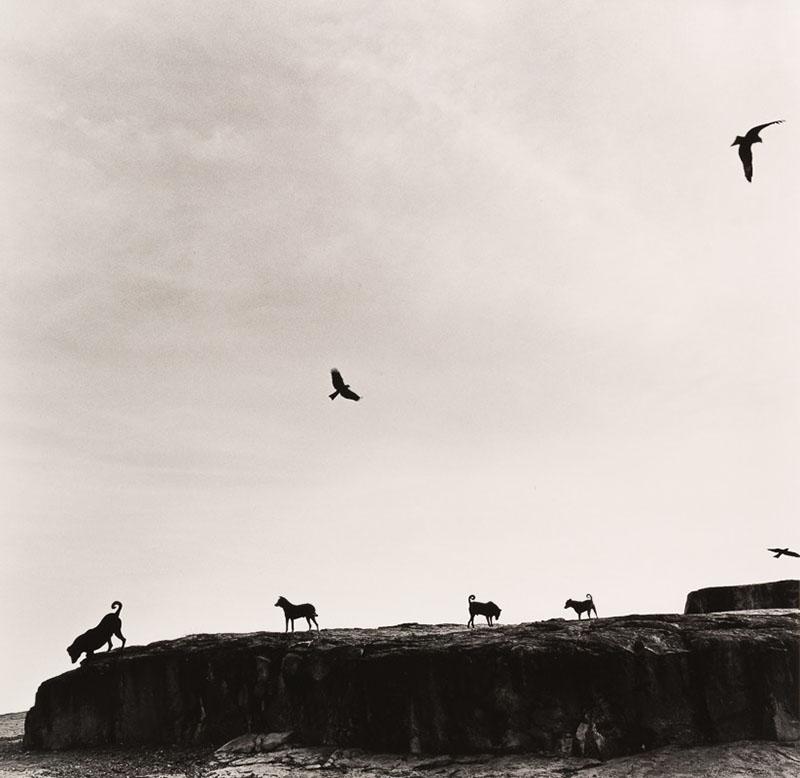 Graciela Iturbide. Rahastan, India, 1998