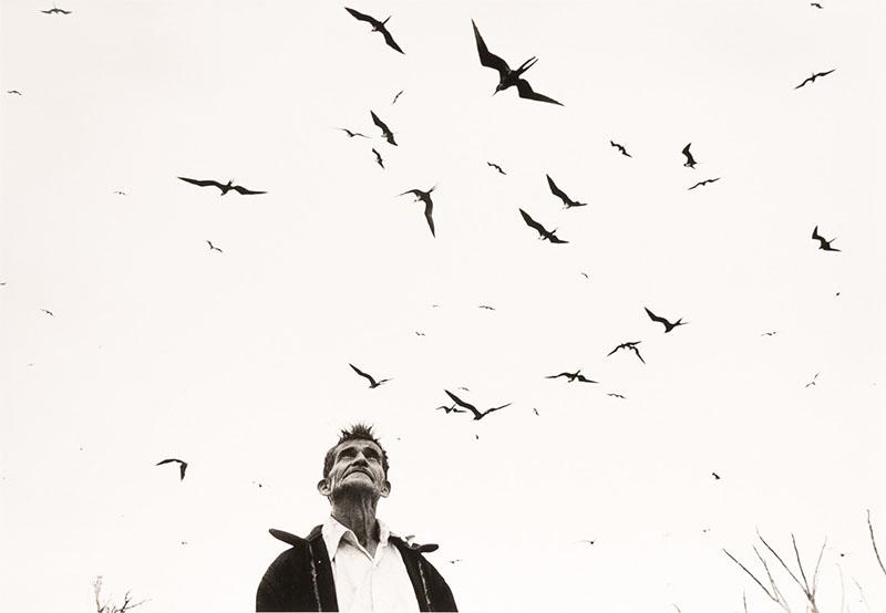 Graciela Iturbide. Señor de los Pájaros, 1998