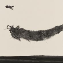 Cody Bustamante. Sirena, 2008