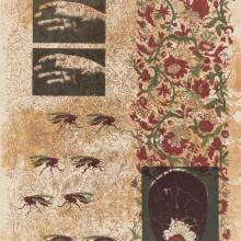 Leticia Huerta. Visited by Insects, 2008