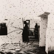 Graciela Iturbide. Cementerio, 1988