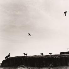 Graciela Iturbide. Rahastan, India, 1998