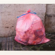 Pink Garbage