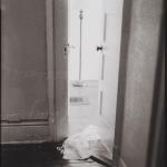 Jenelle Esparza. Creeping In, 2015