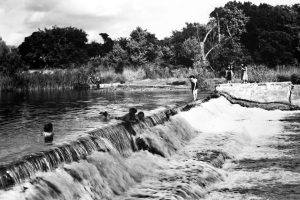 Swimming in the river at the Rio Vista Dam