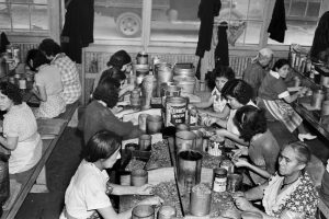 Shelling pecans by hand during strike