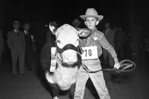 One of the prize-winners at the boys’ fat steer show