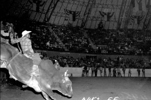 Bull riding
