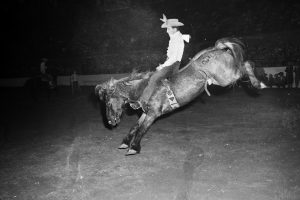 Saddle bronc riding