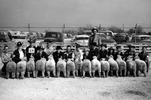 Young participants line up with their sheep