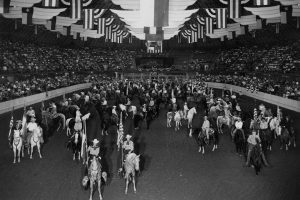 Horseback rider's grand entry
