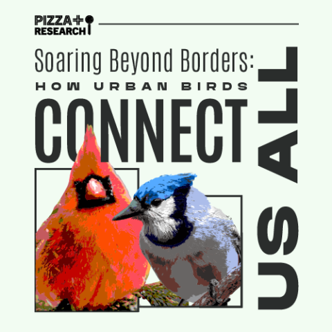 Pizza and Research, Soaring Beyond Borders