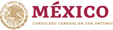 Mexican Cultural Institute of San Antonio